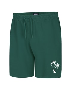 Bigdude Washed Look Shorts Teal