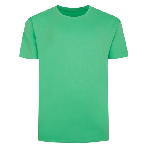 Bigdude Plain T-Shirt Green