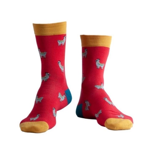 Doris & Dude Llama Print Socks Red