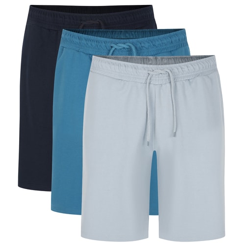Bigdude 3 Pack Loopback Shorts Multi