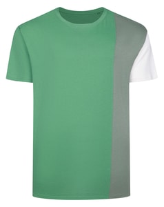 Bigdude Vertical Colour Block T-Shirt Green