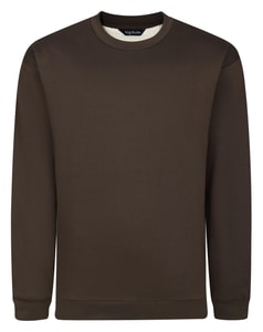 Bigdude Thermal Lined Pullover Brown