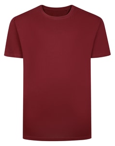 Bigdude Plain T-Shirt Maroon