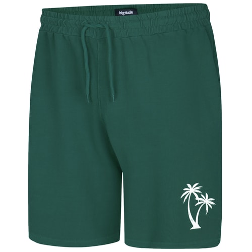 Bigdude Washed Look Shorts Teal