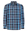Bright Blue Tall