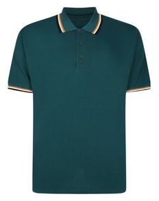Bigdude Polo With Contrast Tipping Teal