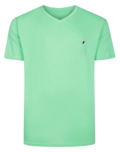 Bigdude Embroidery V-Neck T-Shirt Light Green Marl