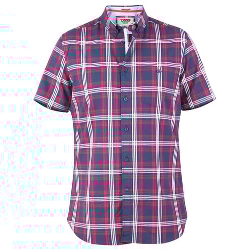 D555 Ripley Button Down Collar Check Short Sleeve Shirt Navy/Red