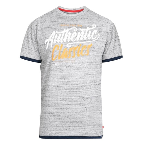 D555 Finn Printed T-Shirt Grey/Blue Reno