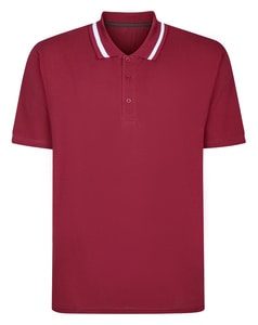Bigdude Tipped Collar Polo Shirt Cassis