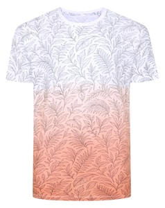 Bigdude Dip Dye AOP T-Shirt Apricot
