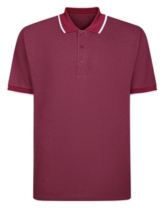 Bigdude Tipped Polo Shirt Cassis Tall