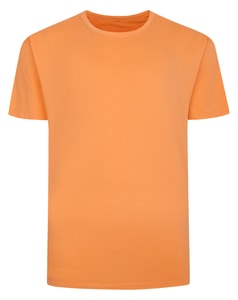 Bigdude Plain T-Shirt Apricot Tall