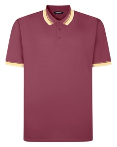 Bigdude Ombre Tipped Collar Polo Crimson Red