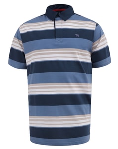 D555 Willis Rugby Polo Navy Stripe