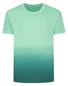 Bigdude Ombre T-Shirt Jelly Mint/Teal