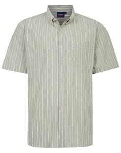 Espionage Yarn Dyed Stripe Shirt Sage/Ecru