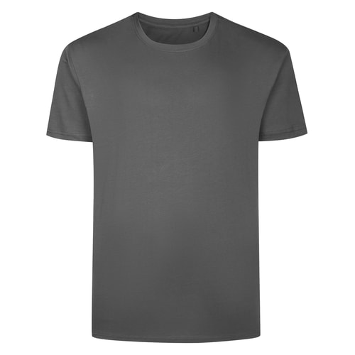 Bigdude Side Panel T-Shirt Dark Grey/Charcoal