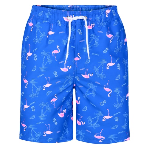 Bigdude Flamingo Swim Shorts Royal Blue