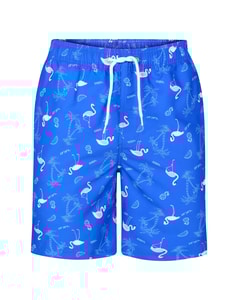 Bigdude Flamingo Swim Shorts Royal Blue