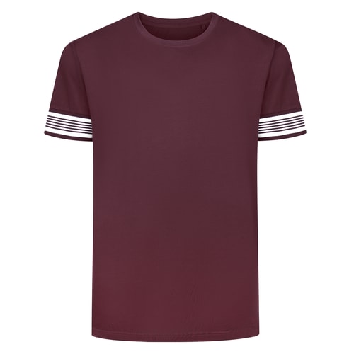 Bigdude Heavyweight Striped Arm T-Shirt Maroon