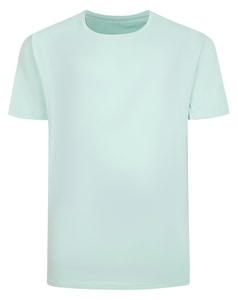 Bigdude Plain T-Shirt Mint Green Tall