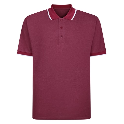 Bigdude Tipped Polo Shirt Cassis