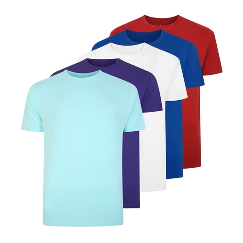 Bigdude 5 Pack Plain T-Shirts