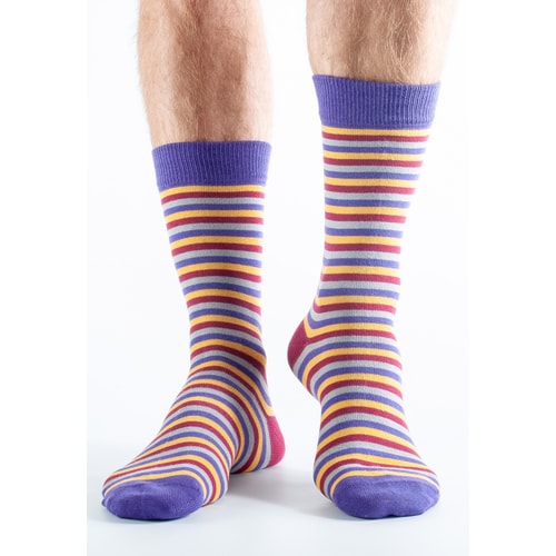 Doris and Dude Striped Socks Purple