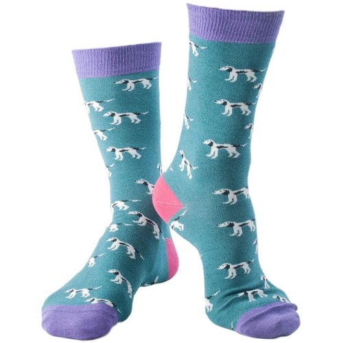 Doris & Dude Teal Dog Socks