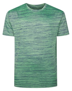 Bigdude Space Yarn Gym T-Shirt Green