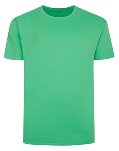 Bigdude Plain T-Shirt Green Tall