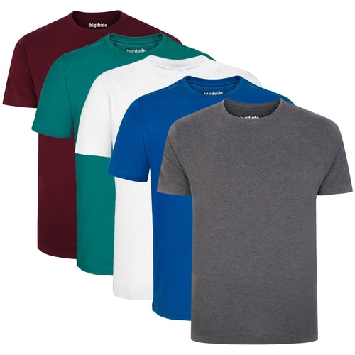 Bigdude 5 Pack Plain T-Shirts