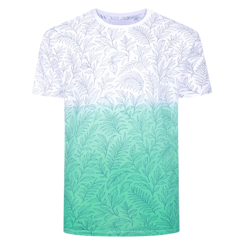 Bigdude Dip Dye AOP T-Shirt Jelly Mint