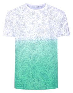 Bigdude Dip Dye AOP T-Shirt Jelly Mint