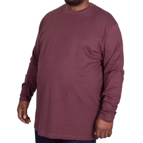 Espionage Plain Long Sleeve T-shirt Purple