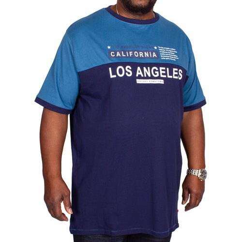 D555 Jackson Ringer T-shirt Teal