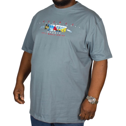 Cotton Valley Winter Sports Print T-Shirt Denim