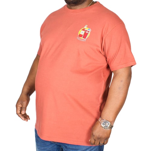 Weird Fish Old Speckled Artist T-Shirt Red