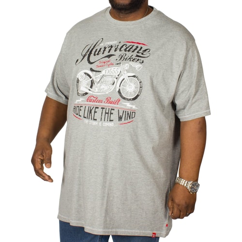 D555 Dayton Printed T-Shirt Grey