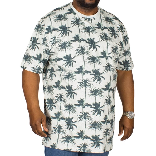 Espionage Palm Print T-Shirt Stone