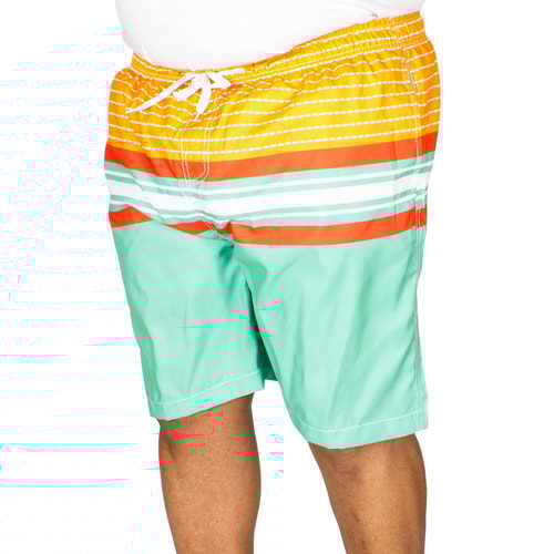 Ed Baxter Concha Striped Swim Shorts Mixed