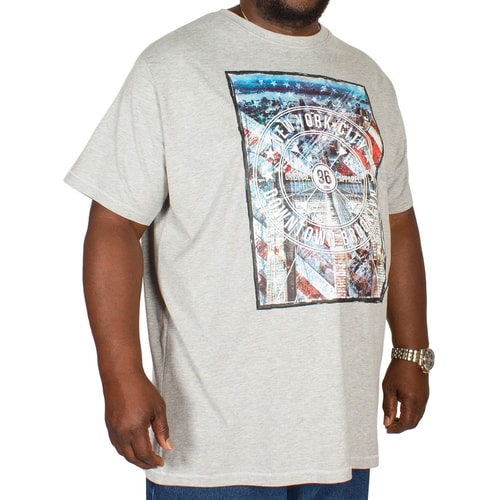 D555 Audley Print T-Shirt Grey