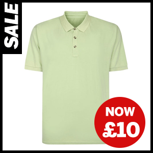 Wash Effect Polo now £10
